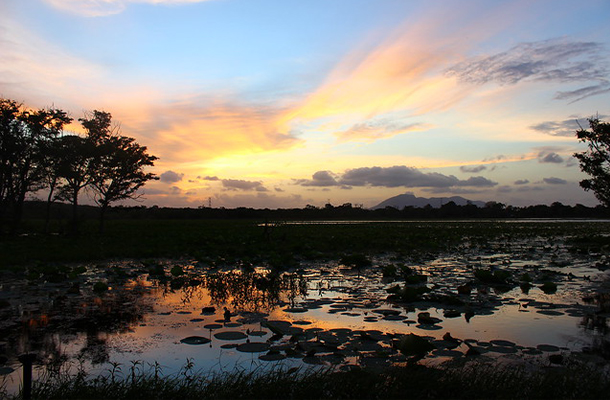 Habarana Lake evening sunset