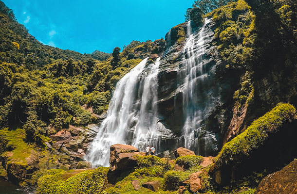 Bomburu Ella Nuwara Eliya