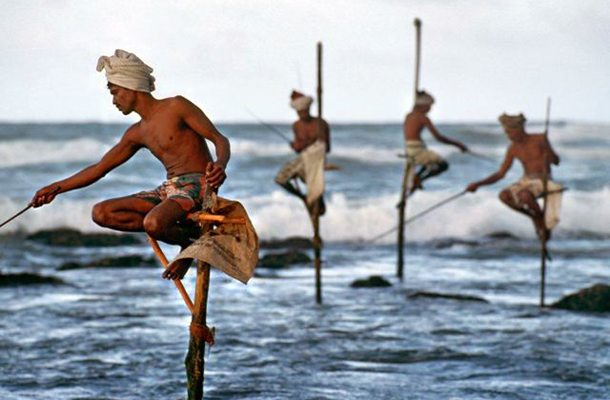 Stilt Fishing in Sri Lanka Sea