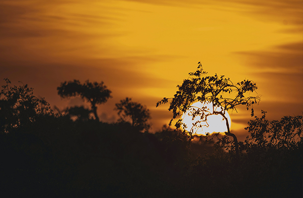 Sunset at Yala National Park